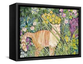 Cat and Long Grass, 1996-Hilary Jones-Framed Stretched Canvas