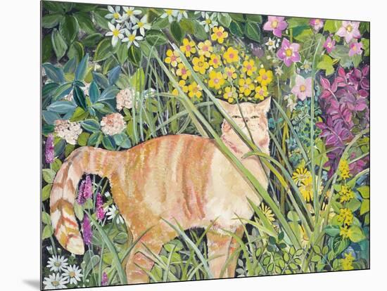 Cat and Long Grass, 1996-Hilary Jones-Mounted Giclee Print