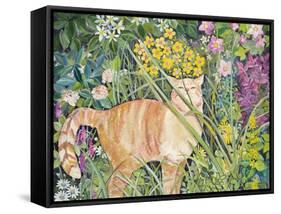 Cat and Long Grass, 1996-Hilary Jones-Framed Stretched Canvas