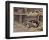 Cat and Mice in a Barn-null-Framed Giclee Print