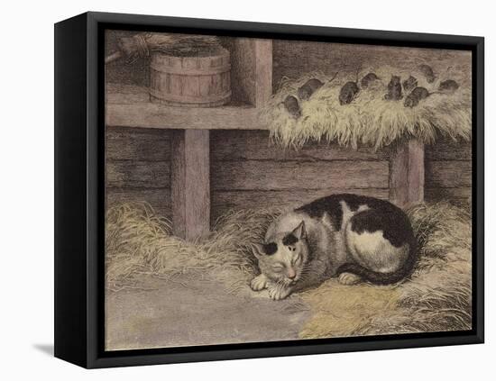 Cat and Mice in a Barn-null-Framed Stretched Canvas