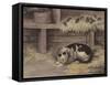 Cat and Mice in a Barn-null-Framed Stretched Canvas