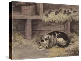 Cat and Mice in a Barn-null-Stretched Canvas