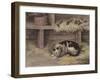 Cat and Mice in a Barn-null-Framed Giclee Print