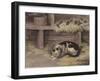 Cat and Mice in a Barn-null-Framed Giclee Print