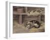 Cat and Mice in a Barn-null-Framed Giclee Print