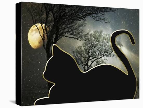 Cat and Moon-Art Deco Designs-Stretched Canvas