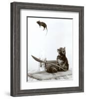 Cat and Mouse-null-Framed Art Print