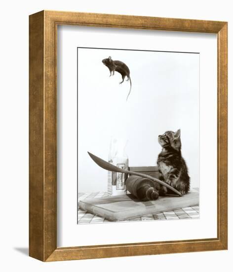 Cat and Mouse-null-Framed Art Print