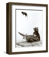 Cat and Mouse-null-Framed Art Print