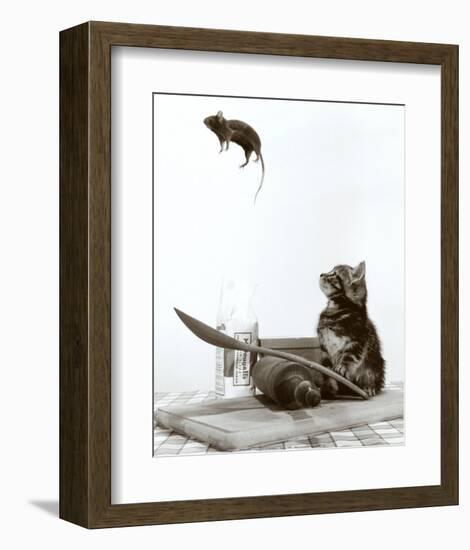 Cat and Mouse-null-Framed Art Print