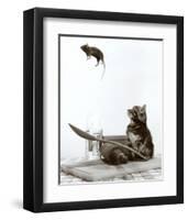 Cat and Mouse-null-Framed Art Print