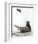 Cat and Mouse-null-Framed Art Print