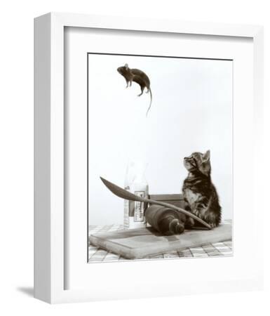 Cat and Mouse--Framed Art Print