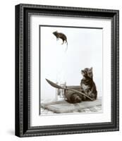 Cat and Mouse-null-Framed Art Print