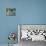Cat and Pigeons-null-Stretched Canvas displayed on a wall