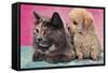 Cat and Puppy-null-Framed Stretched Canvas