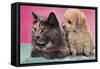 Cat and Puppy-null-Framed Stretched Canvas