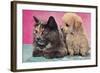 Cat and Puppy-null-Framed Art Print