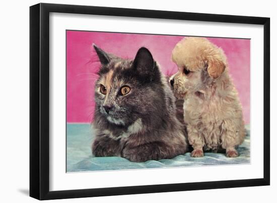 Cat and Puppy-null-Framed Art Print