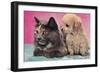 Cat and Puppy-null-Framed Art Print