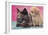 Cat and Puppy-null-Framed Art Print