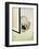 Cat and Spider-null-Framed Giclee Print