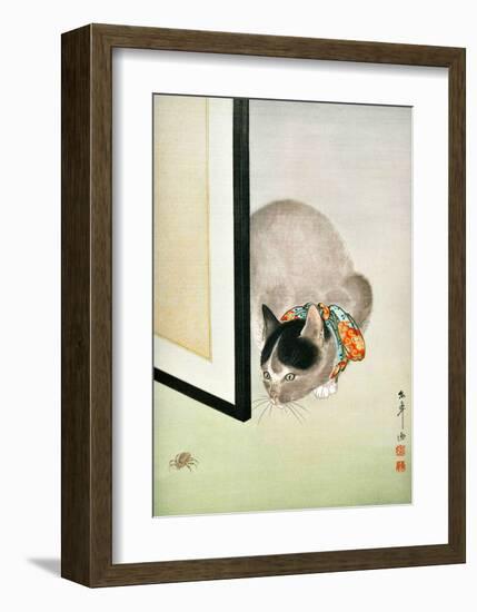 Cat and Spider-null-Framed Giclee Print
