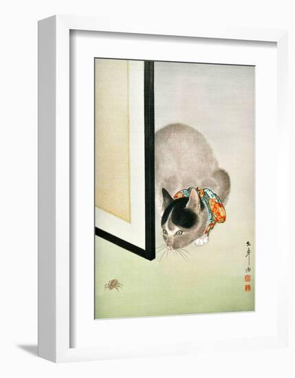 Cat and Spider-null-Framed Giclee Print