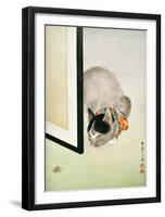 Cat and Spider-null-Framed Giclee Print