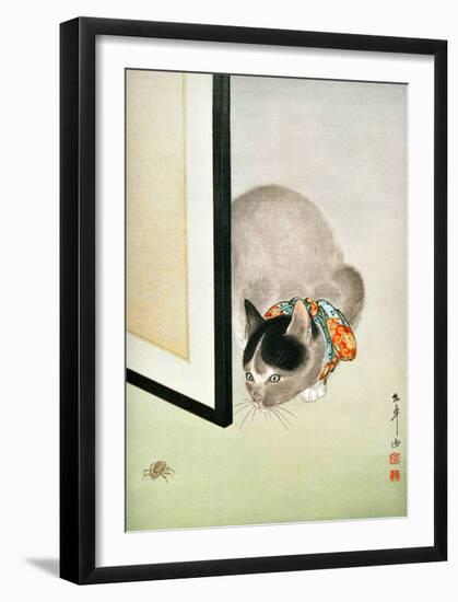 Cat and Spider-null-Framed Giclee Print