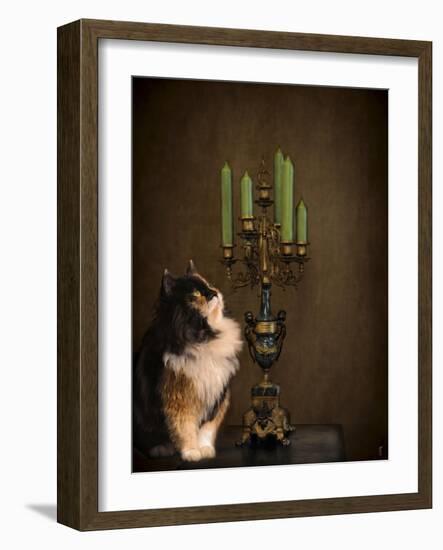 Cat and the Candelabra-Jai Johnson-Framed Giclee Print