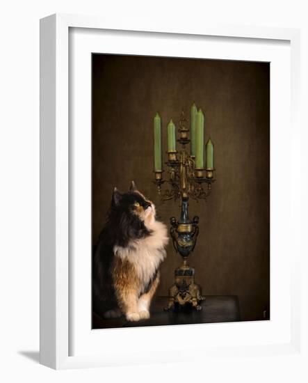 Cat and the Candelabra-Jai Johnson-Framed Giclee Print