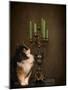 Cat and the Candelabra-Jai Johnson-Mounted Giclee Print