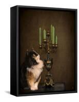 Cat and the Candelabra-Jai Johnson-Framed Stretched Canvas