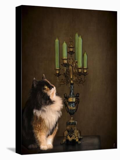 Cat and the Candelabra-Jai Johnson-Stretched Canvas