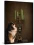 Cat and the Candelabra-Jai Johnson-Stretched Canvas