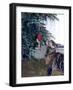 Cat and the Christmas Tree-Audrey-Framed Giclee Print