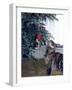 Cat and the Christmas Tree-Audrey-Framed Giclee Print