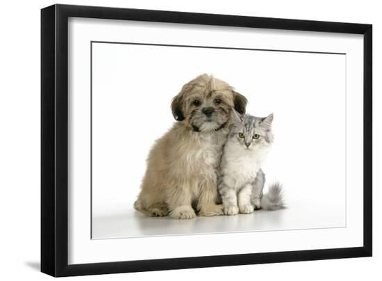 Photographic Print, , large