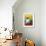 Cat and Tulips I (Chat Tulipes I)-Isy Ochoa-Framed Giclee Print displayed on a wall