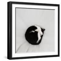 Cat as dot  2020  (photograph)-Ant Smith-Framed Photographic Print