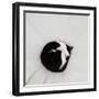 Cat as dot  2020  (photograph)-Ant Smith-Framed Photographic Print