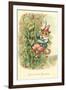 Cat as Jack and the Beanstalk-null-Framed Art Print