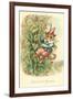 Cat as Jack and the Beanstalk-null-Framed Art Print