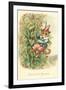 Cat as Jack and the Beanstalk-null-Framed Art Print