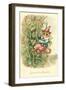 Cat as Jack and the Beanstalk-null-Framed Art Print