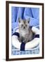 Cat Asian Black Smoke Kitten (8 Weeks)-null-Framed Photographic Print