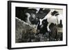 Cat Attacking a Bird-G. W Backhouse-Framed Giclee Print