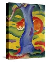 Cat Behind a Tree, 1910/11-Franz Marc-Stretched Canvas
